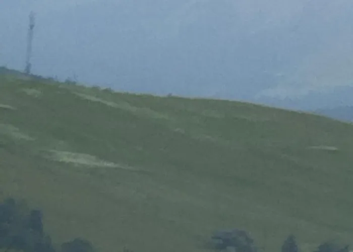У Ондраша